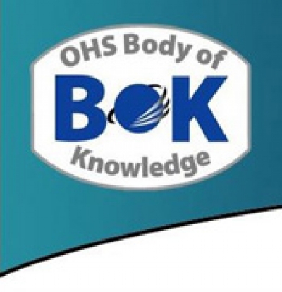 Central Safety Group Amsterdam Annual Newtorking Christmas Lunch